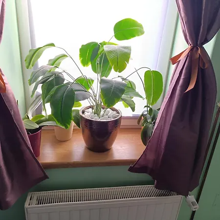 Apartman Pri Adamsovih