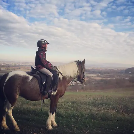 Daire Pri Adamsovih *