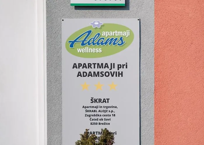 Lägenhet Pri Adamsovih