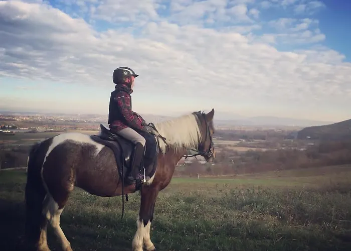 Апартаменты Pri Adamsovih *